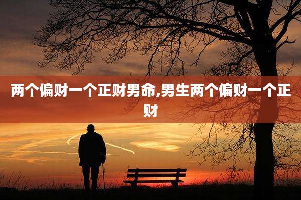 两个偏财一个正财男命,男生两个偏财一个正财
