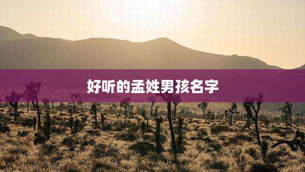 好听的孟姓男孩名字