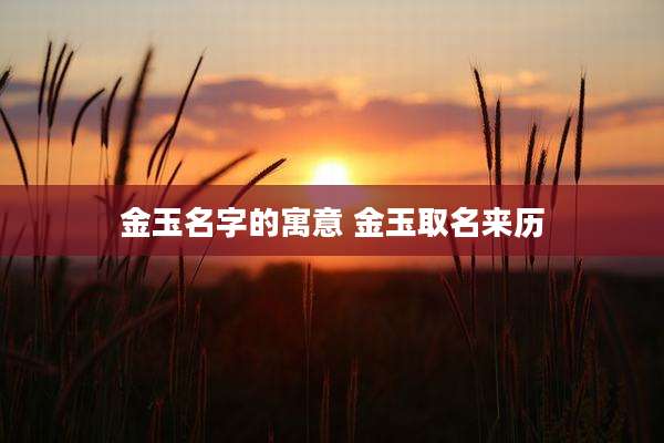 金玉名字的寓意 金玉取名来历