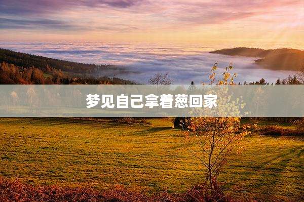 梦见自己拿着葱回家