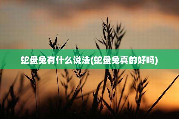 蛇盘兔有什么说法(蛇盘兔真的好吗)