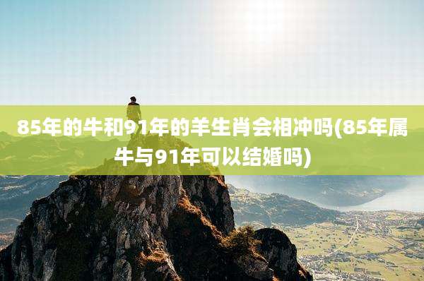 85年的牛和91年的羊生肖会相冲吗(85年属牛与91年可以结婚吗)