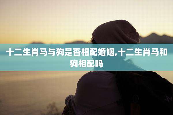 十二生肖马与狗是否相配婚姻,十二生肖马和狗相配吗