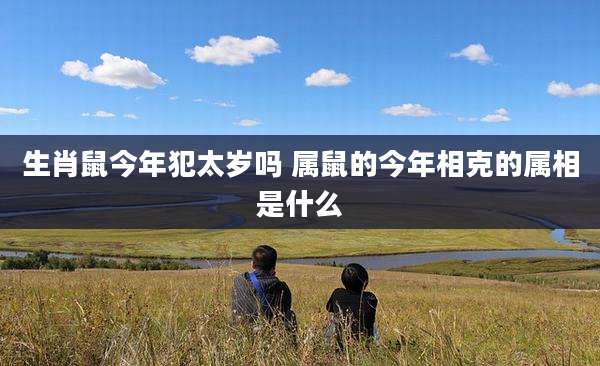 生肖鼠今年犯太岁吗 属鼠的今年相克的属相是什么