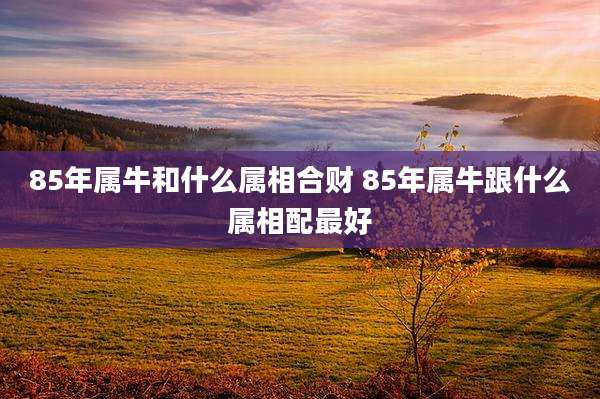 85年属牛和什么属相合财 85年属牛跟什么属相配最好