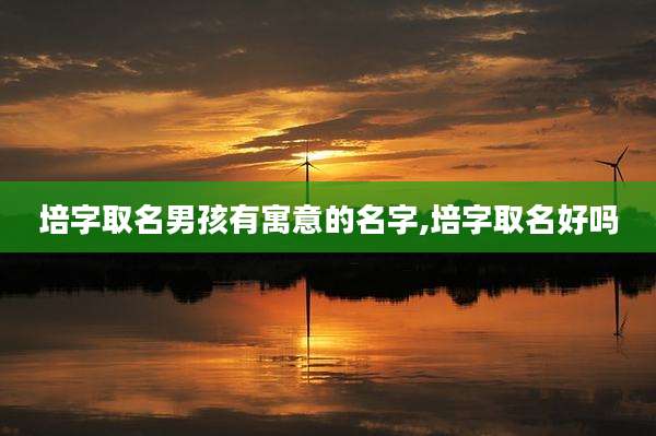 培字取名男孩有寓意的名字,培字取名好吗