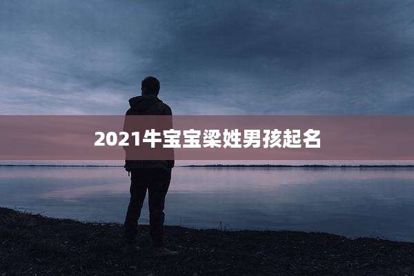 2021牛宝宝梁姓男孩起名