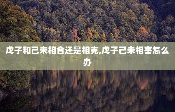 戊子和己未相合还是相克,戊子己未相害怎么办