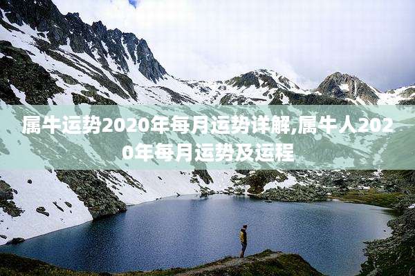 属牛运势2020年每月运势详解,属牛人2020年每月运势及运程