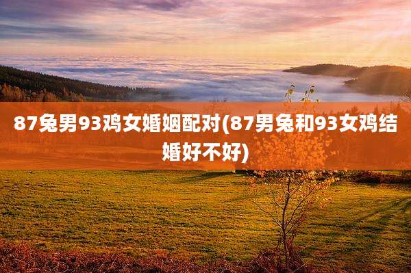 87兔男93鸡女婚姻配对(87男兔和93女鸡结婚好不好)