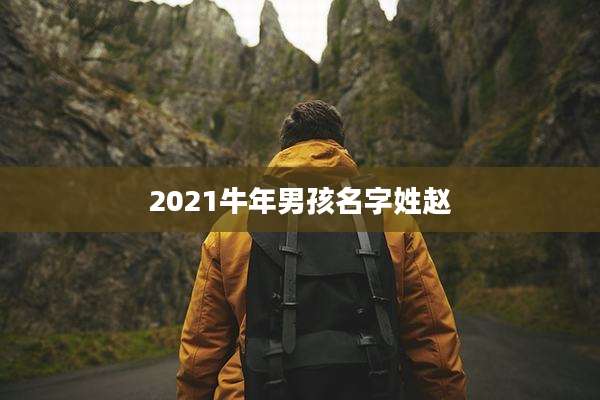 2021牛年男孩名字姓赵