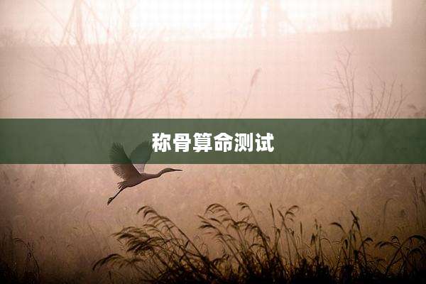 称骨算命测试