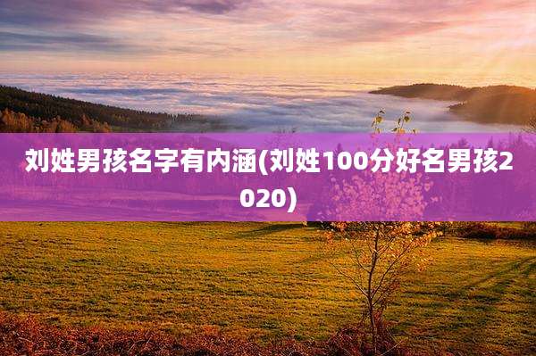 刘姓男孩名字有内涵(刘姓100分好名男孩2020)
