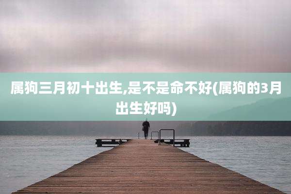 属狗三月初十出生,是不是命不好(属狗的3月出生好吗)