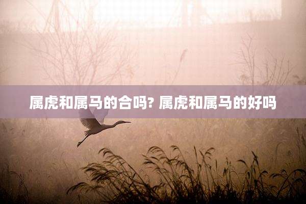 属虎和属马的合吗? 属虎和属马的好吗