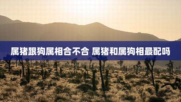 属猪跟狗属相合不合 属猪和属狗相最配吗