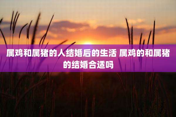 属鸡和属猪的人结婚后的生活 属鸡的和属猪的结婚合适吗
