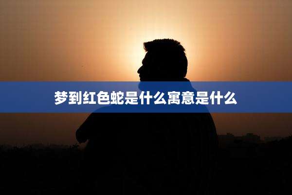 梦到红色蛇是什么寓意是什么