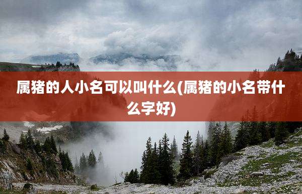 属猪的人小名可以叫什么(属猪的小名带什么字好)