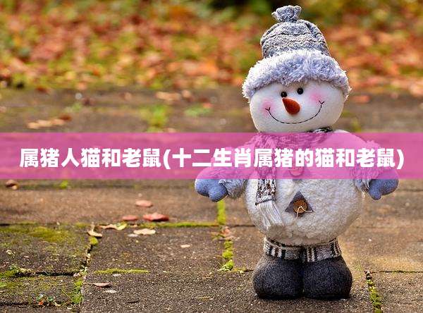 属猪人猫和老鼠(十二生肖属猪的猫和老鼠)