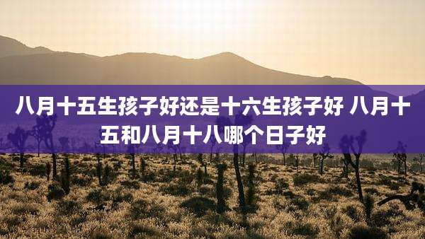 八月十五生孩子好还是十六生孩子好 八月十五和八月十八哪个日子好
