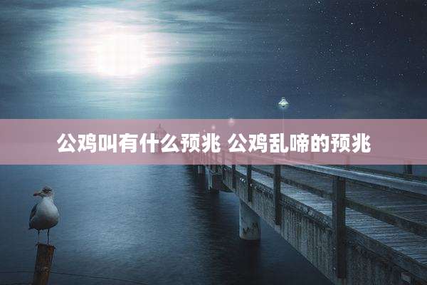 公鸡叫有什么预兆 公鸡乱啼的预兆