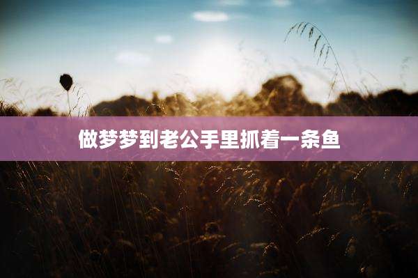 做梦梦到老公手里抓着一条鱼