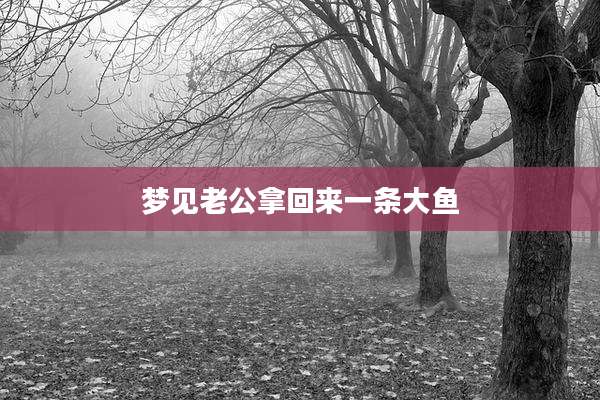 梦见老公拿回来一条大鱼