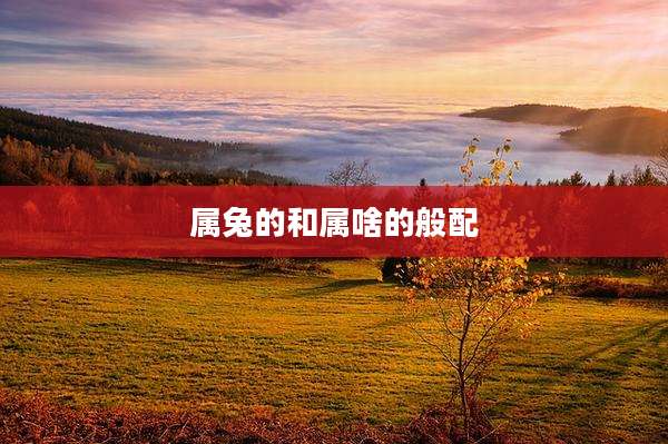 属兔的和属啥的般配