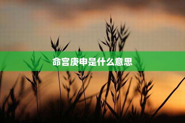 命宫庚申是什么意思