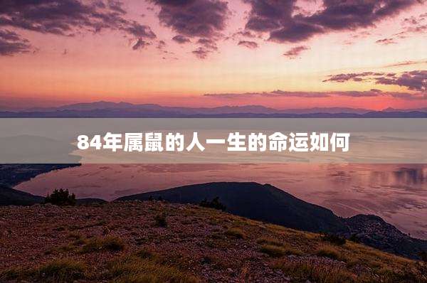 84年属鼠的人一生的命运如何