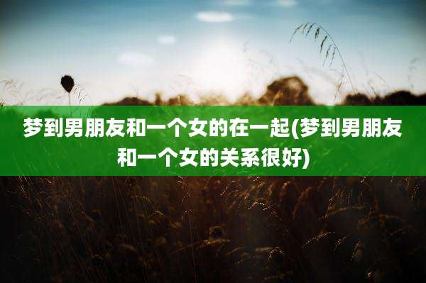 梦到男朋友和一个女的在一起(梦到男朋友和一个女的关系很好)