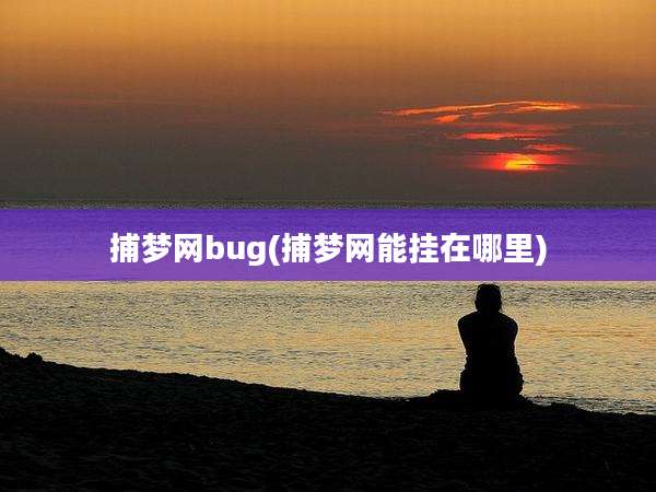 捕梦网bug(捕梦网能挂在哪里)