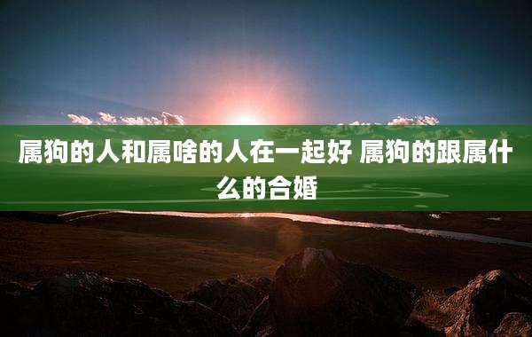 属狗的人和属啥的人在一起好 属狗的跟属什么的合婚