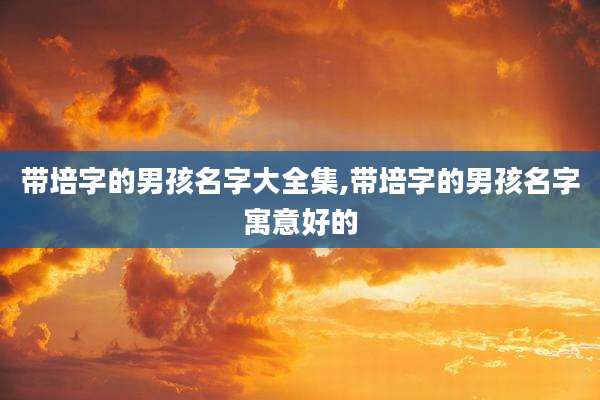 带培字的男孩名字大全集,带培字的男孩名字寓意好的