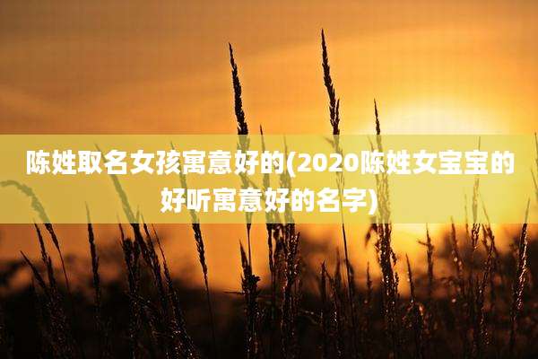 陈姓取名女孩寓意好的(2020陈姓女宝宝的好听寓意好的名字)