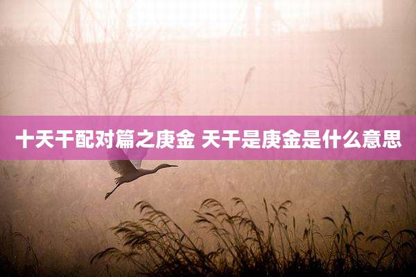 十天干配对篇之庚金 天干是庚金是什么意思