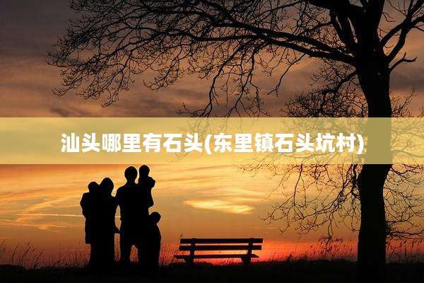 汕头哪里有石头(东里镇石头坑村)