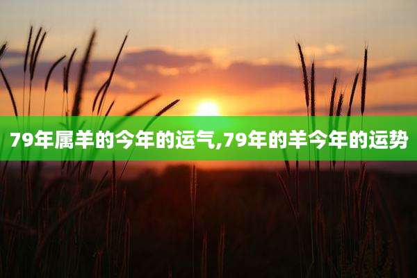 79年属羊的今年的运气,79年的羊今年的运势