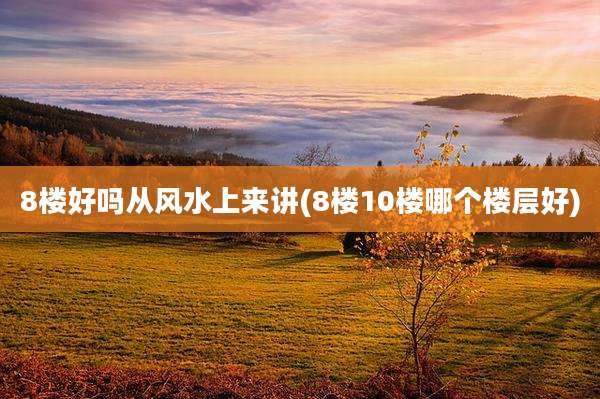 8楼好吗从风水上来讲(8楼10楼哪个楼层好)