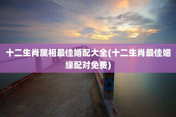 十二生肖属相最佳婚配大全(十二生肖最佳姻缘配对免费)