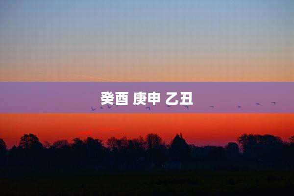 癸酉 庚申 乙丑