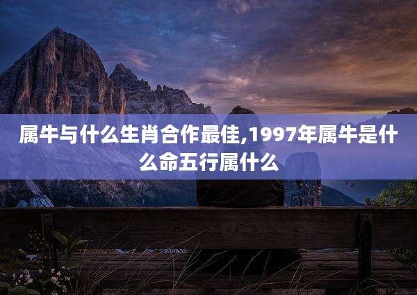 属牛与什么生肖合作最佳,1997年属牛是什么命五行属什么