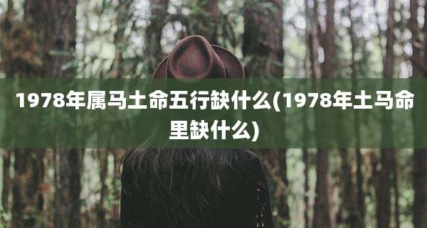 1978年属马土命五行缺什么(1978年土马命里缺什么)