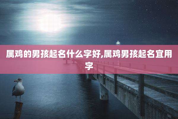 属鸡的男孩起名什么字好,属鸡男孩起名宜用字