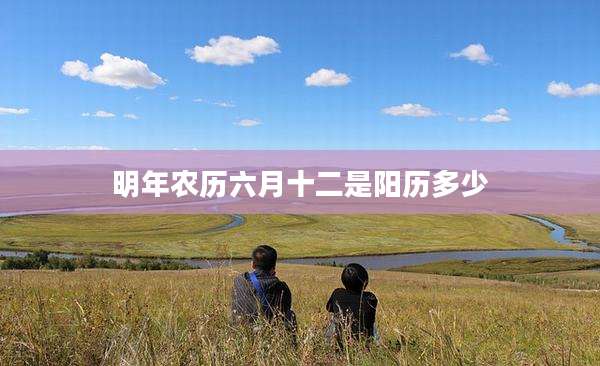 明年农历六月十二是阳历多少