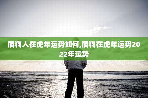 属狗人在虎年运势如何,属狗在虎年运势2022年运势
