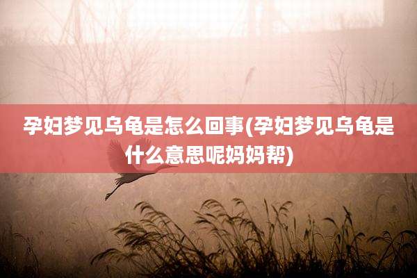 孕妇梦见乌龟是怎么回事(孕妇梦见乌龟是什么意思呢妈妈帮)
