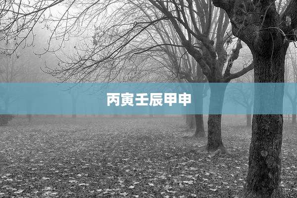 丙寅壬辰甲申
