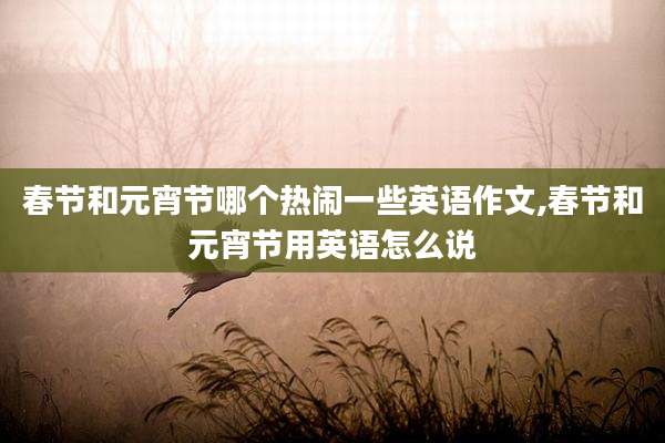 春节和元宵节哪个热闹一些英语作文,春节和元宵节用英语怎么说